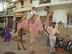 Child on a camel ride - Picture taken at a street in Mysore