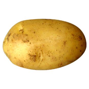Potato - i like potato
