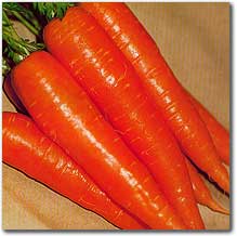 Carrot - Carrot