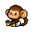 monkey - this is a cute babymonkey