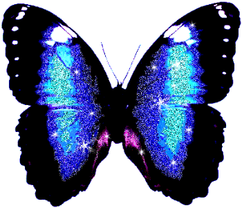 Sparklin_butterfly - Sparklin_butterfly