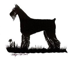 Giant Schnauzer - 100% hand cut out using only a pair of scissors freehand.  Lost art form. www.mgcreativearts.com
