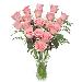 Roses - I love roses