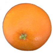 Orange - Orange