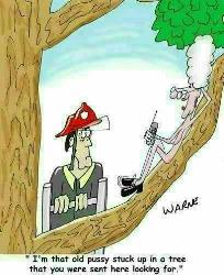 FUNNY  - FUNNY