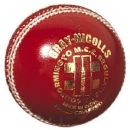 cricket ball - cricket ball