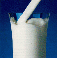 Cold Fresh Milk - milk