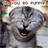 you&#039;re so funny cat - found this picture a while ago and just now have the perfect opportunity to share it.  Hope others like it too!