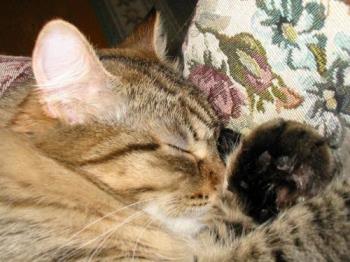 Deep sleep - Deep sleep