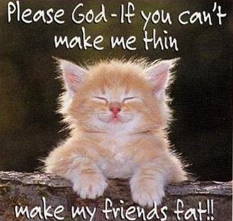cute kitty prays..  - 


     cute kitty na..