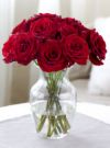 red roses - red rose