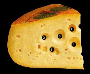 big belly button cheese - big cheese small button???? big belly button cheese - big cheese small button????
