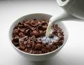 cornflakes with milk.jpg - cornflakes with milk.jpg