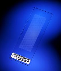 Microarray experiments - DNA microarray profiling