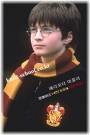 harry potter - harry