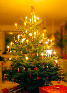 merry christmas -  christmas tree