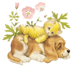 Dog and Cat  - I have a Dog and Cats but I am more a Dog Person 