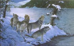 in the snow - this is a drawing of grey wolves in the snow.