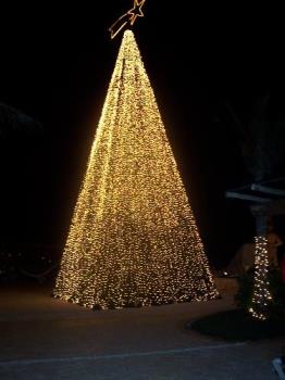 a xmas tree in Mexico - this was the tree they had outside when me and my hubby where in Mexico the beginning on  December