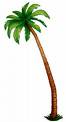 beach - palm tree