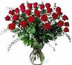 Roses - Uploaded image