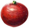 Radish - Radish