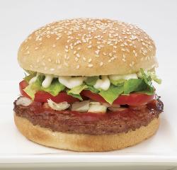 burger - pic of tasty burger