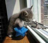 lol - cat sniper