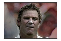 Shane Warne -  Arguably the most famous and influential cricketer since Don Bradman, Warne is largely credited for revitalising the art of leg spin bowling after an era dominated by fast bowlers.
Was named as one of Wisden&#039;s five best players of the 20th century and currently holds the world record for the most Test wickets