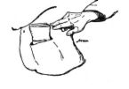 Pickpocket - cartoon of a hand in someone&#039;s back pocket