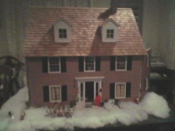 Dollhouse - My dad built this dollhouse by himself with various materials and it looks great.  The inside is incredible.  