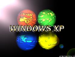 XP - XP