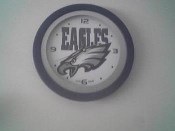 Philadelphia Eagles - My Eagles will win the Superbowl this year I feel.