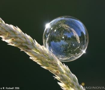 Refraction - it"s a Meditative photo!