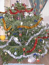 Christmas Tree  - My first Christmas Tree away from my parents home. It is not the best but is mine. :D