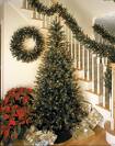 christmas trees - trees christmas