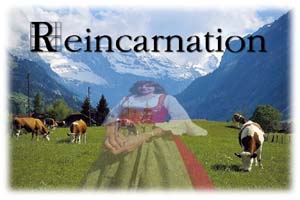 reincarnation - reincarnation