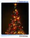 Christmas Tree - Christmas tree