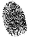 finger print - A finger print taken using ink. finger print - A finger print taken using ink.
