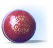 cricket ball - cricket ball