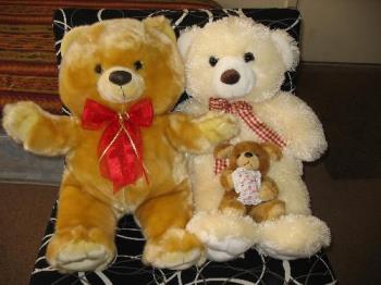 My cute bear family. - My cute bear family