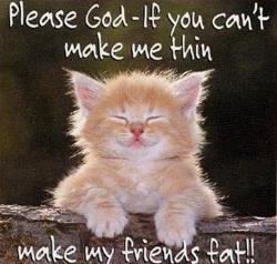 Praying Kitten!Cutie! - this is so cute a kitten praying for friends.and to be slim.