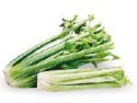 celery - celery... good for your health