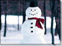 snowman - Snowman