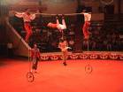 Bar dance of a circus - circus - an entertainment for all.  this is the profession for the person doing the circus.  animals like elephants/monkeys/parrots/lionstiger and horses are trained to do some small things which will attract the viewers.  i do not think somebody will hate circus.  