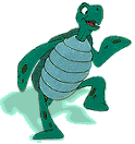 Turtle from Little Mermaid - Turtle from Little Mermaid