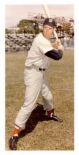 Ted Williams - photo of Boston Red Sox left fielder Ted Williams in his famous batting stance.