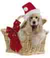 holiday doggie - our pets are great companions and we tend to them especially on holiday occasions