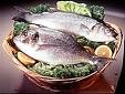Fresh Fish - this is an image of raw fresh fish