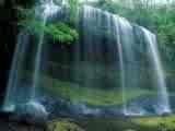 waterfall in nature - our precious resources and environment that we live in should be taken care of for all of our sakes.